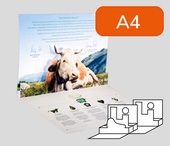A4