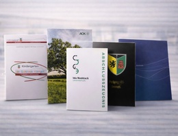 Öffentliche Organisationen