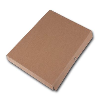 Archivmappe Box Natureline Braunpappe